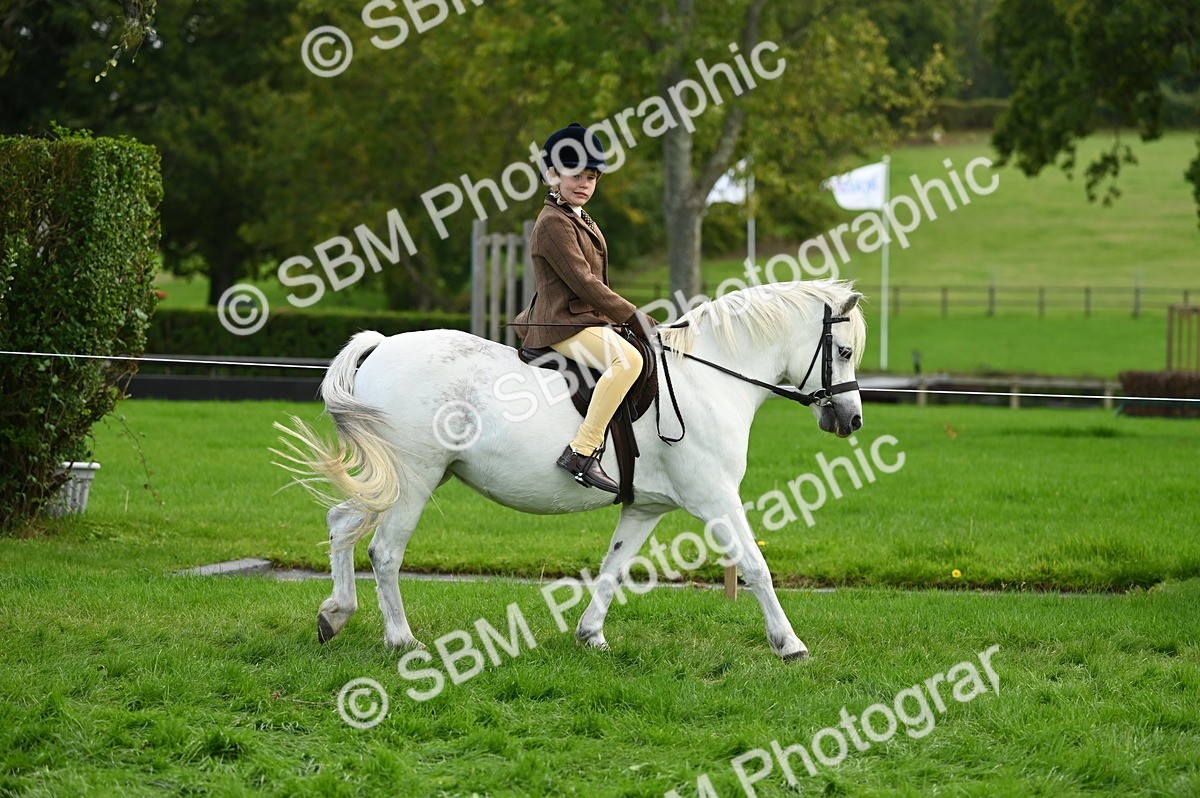 SBM_26538 - S7 - Novice & Newcomer Ridden Pony