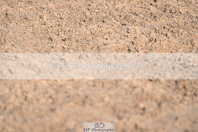 241026A-144059-01398 - SAT Cls 16-18 Children on Horses