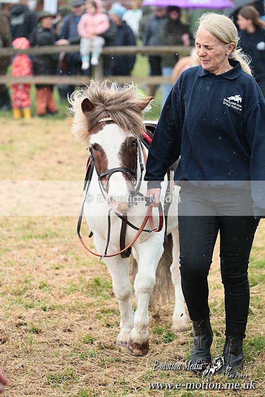 SHETPR 210425 22 - Shetland Ponies Paxford Races 21/04/25