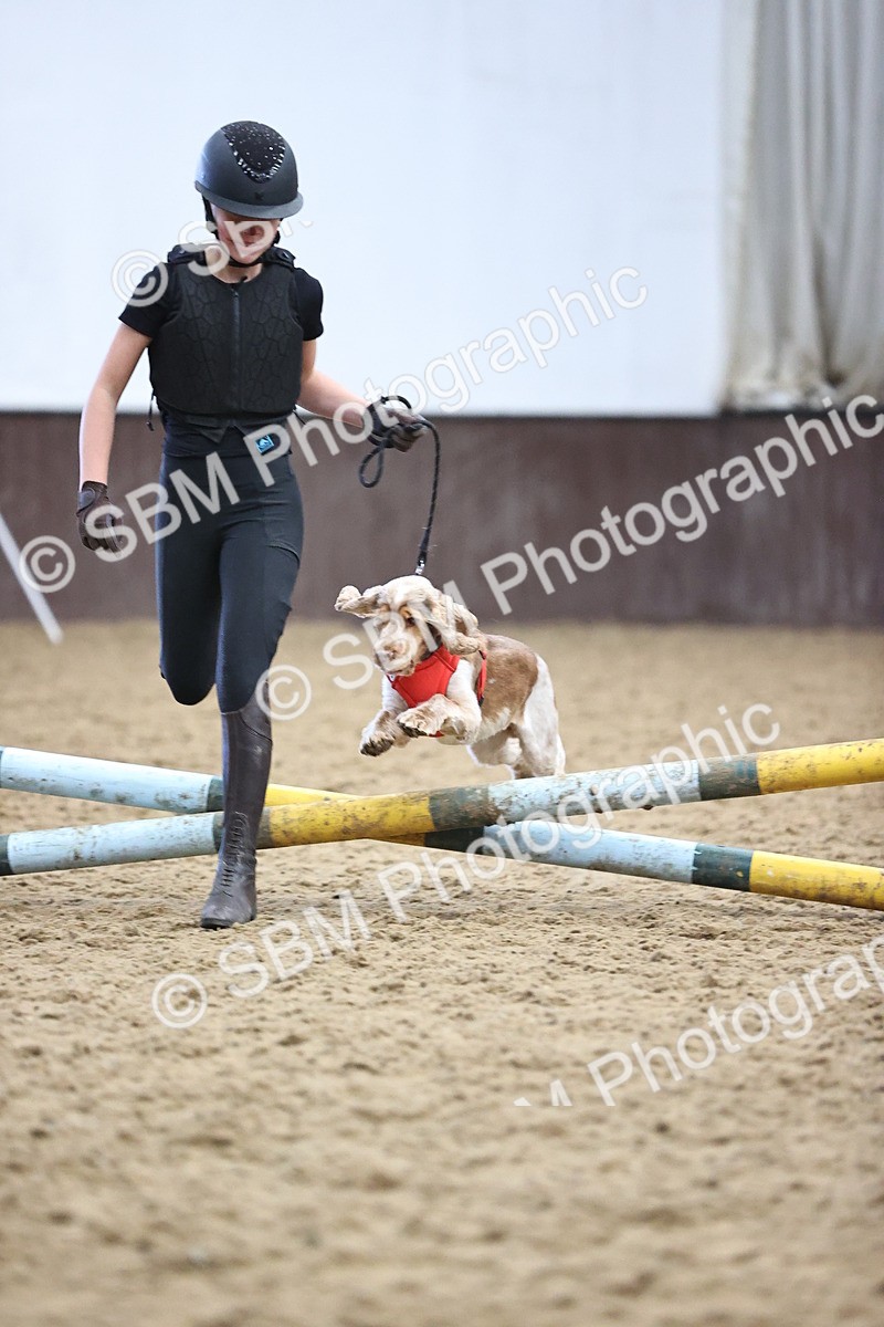 SBM_001346 - Class 3 - Horse & Hound 60cm