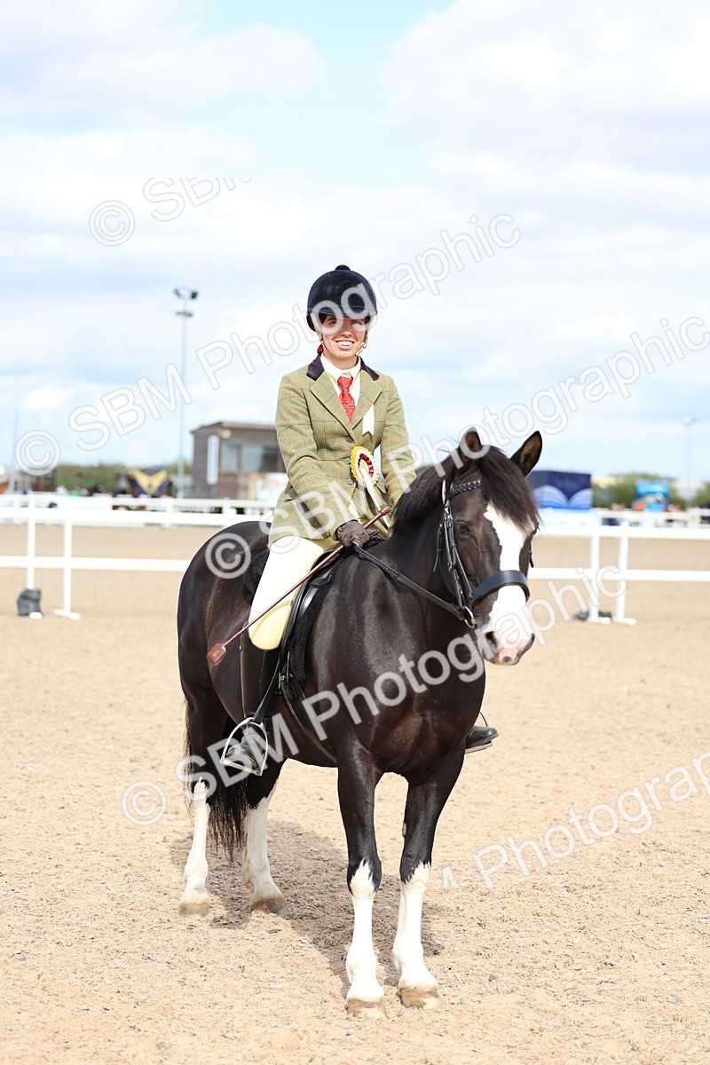SBM_15864 - Class 314 - Family Horse - Pony