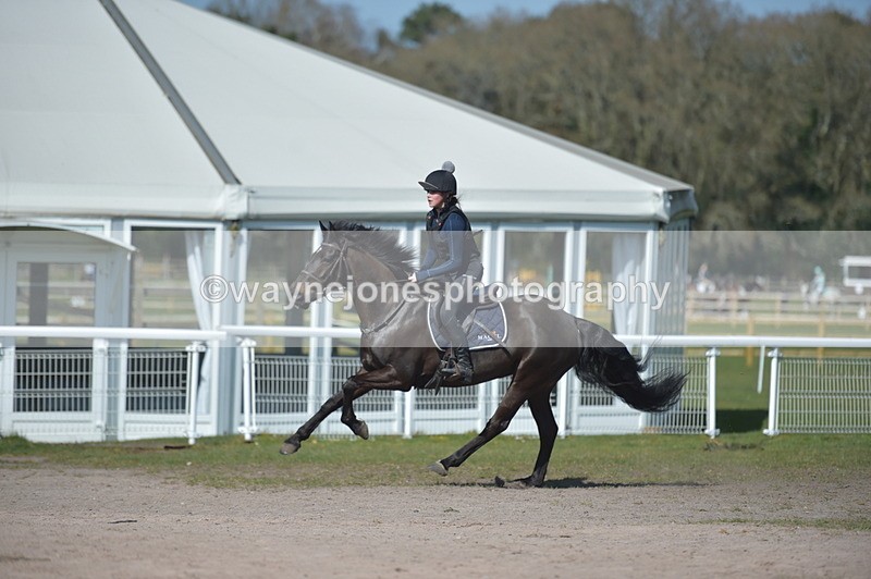 NGP_6719 - XC Time 12:23 to 12:36