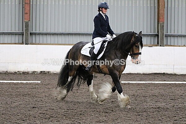 SIAL4179 - CAbin Dressage 5th july 2025