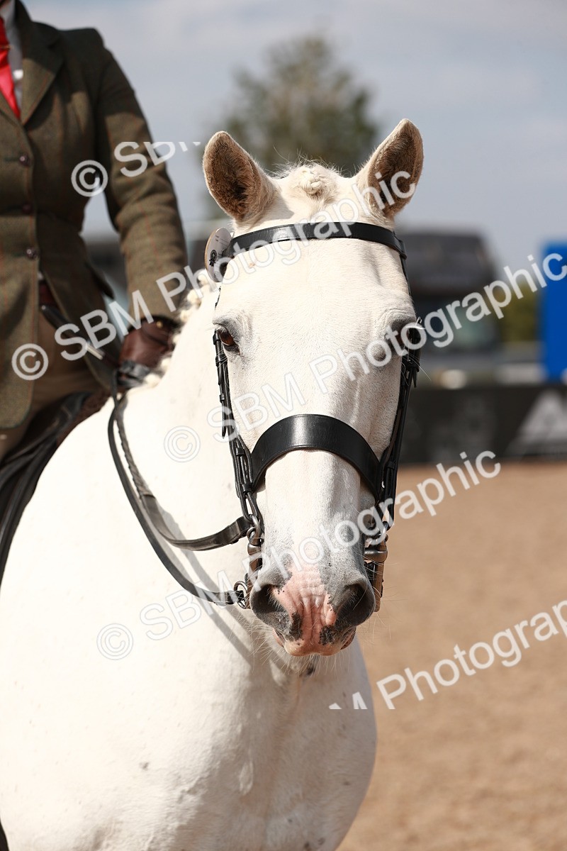 SBM_14876 - Class 212 Ridden Hunter - Small