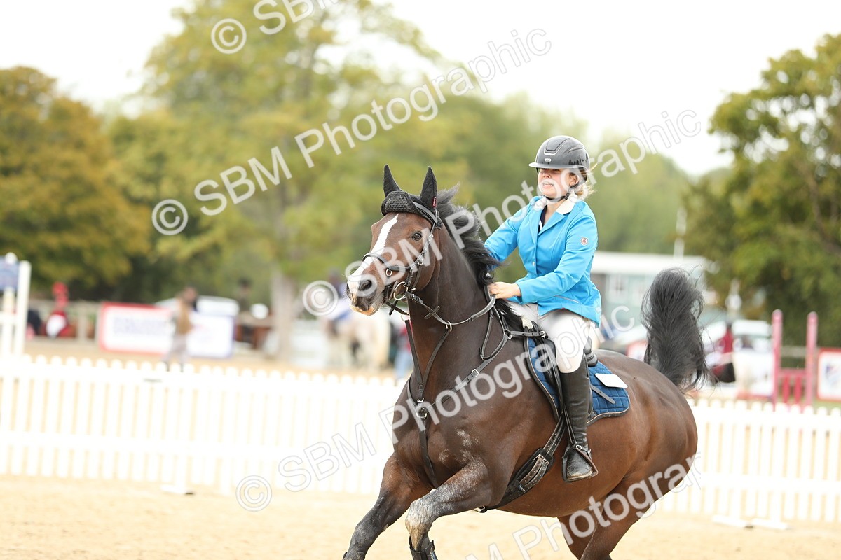 SBM_63067 - Supreme championship 75cm 80cm