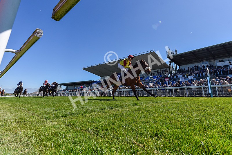 230426-Race 2-Matteo-6354 - Race 2