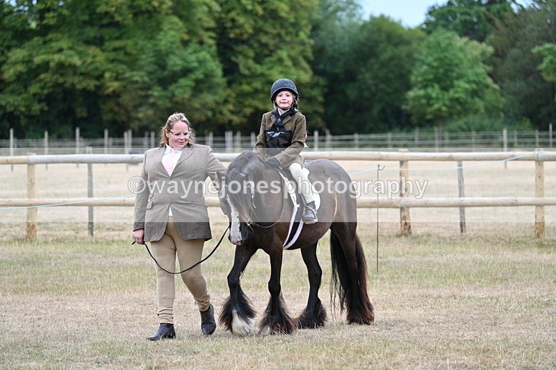 WJ7_7997 - Class 4 Prettiest Mare up to 14.2hh