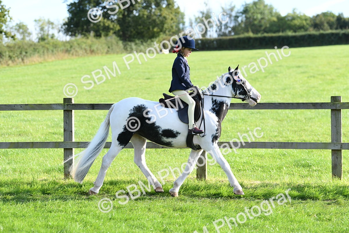 SBM_52388 - S22 - 1st Ridden Show & Show Hunter Pony