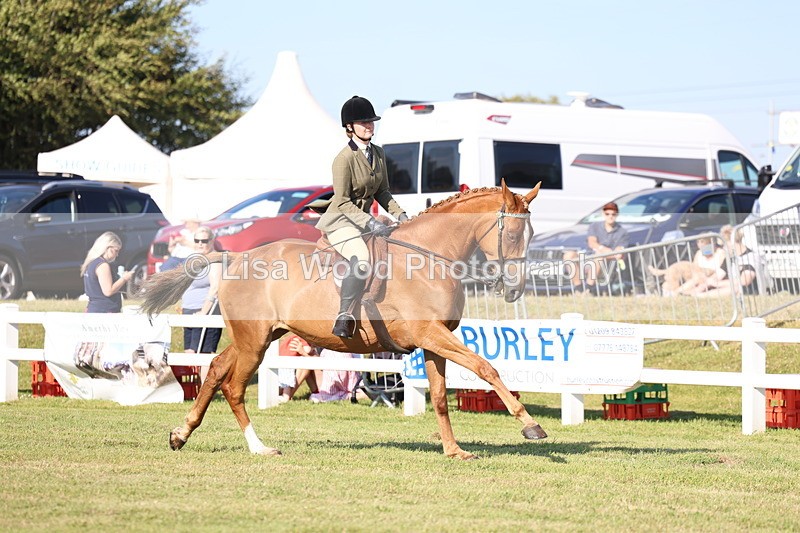 3E7A5543 - Class 2: Rising Star Large Hack/Riding Horse