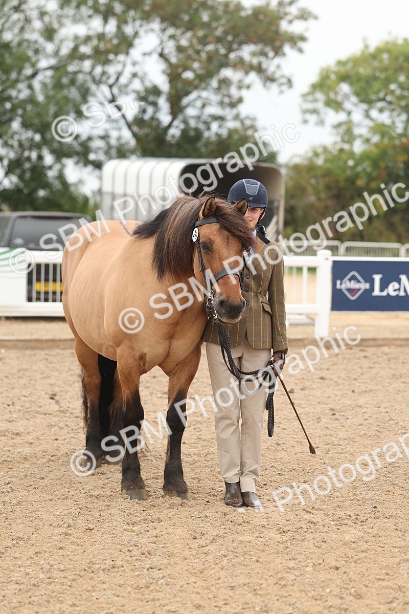 SBM_00549 - Class 13 Young Handler