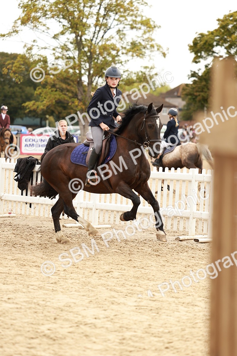 SBM_57817 - J11 - Junior Pony 50cm Championship