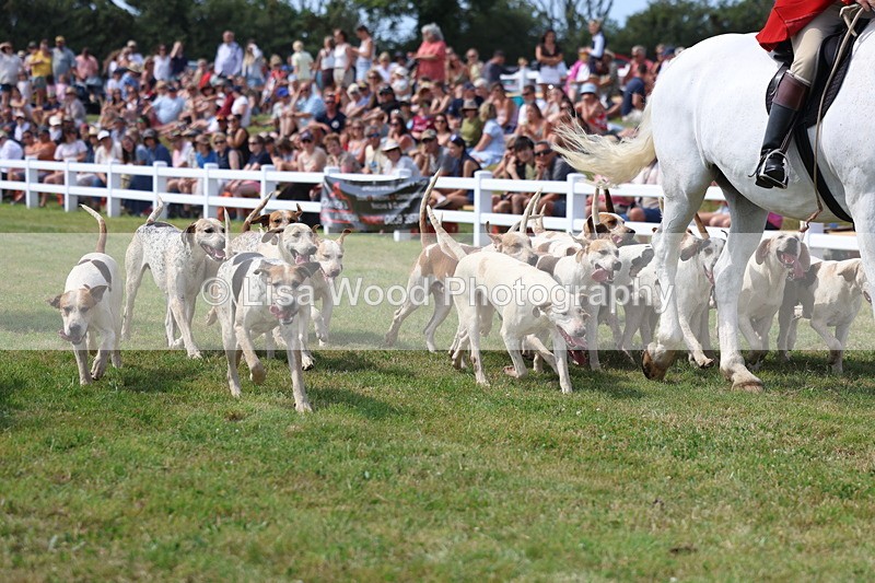3E7A0139 - Parade of Hounds
