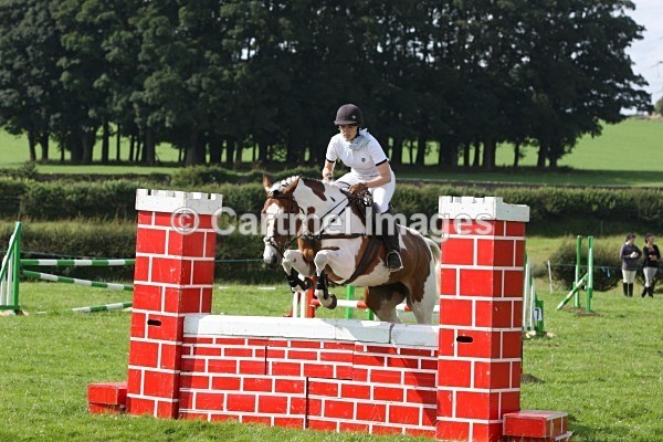 MBA_2893 - MBRC- August 2012 Working Hunter/Jumping