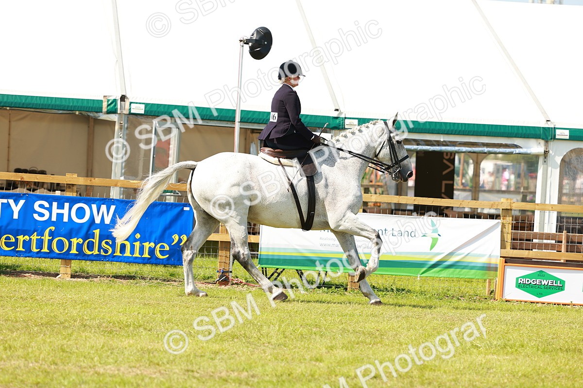 SBM_13205 - Class 70-71 - Side Saddle
