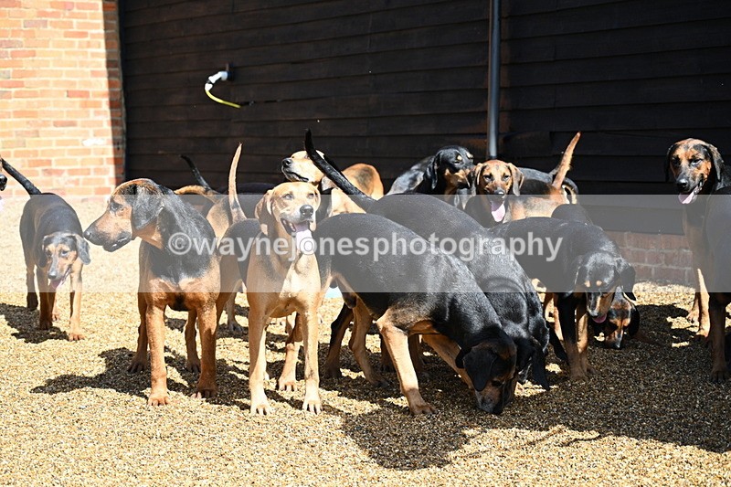 WJ7_7100 - Berks & Bucks at Blandy’s Farm 31-08-25