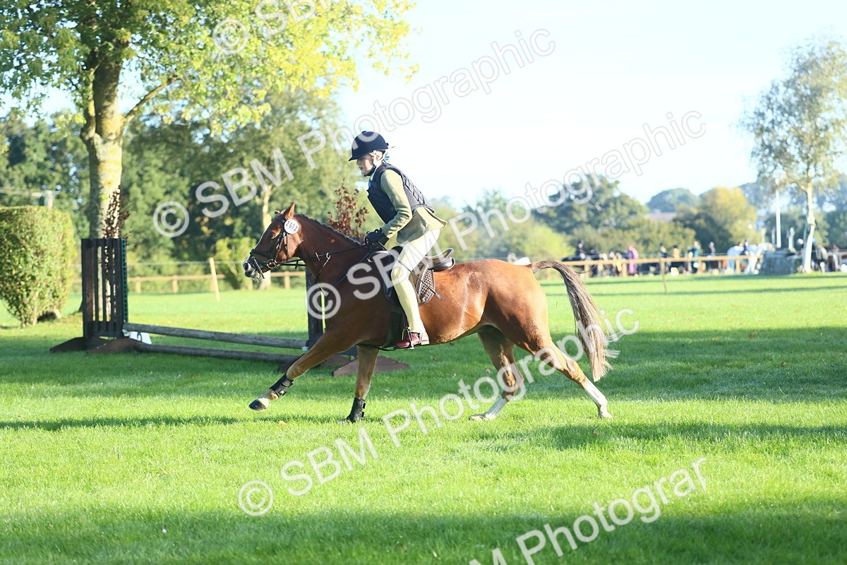 SBM_33393 - S28 - Nursery Stakes Working Hunter Pony