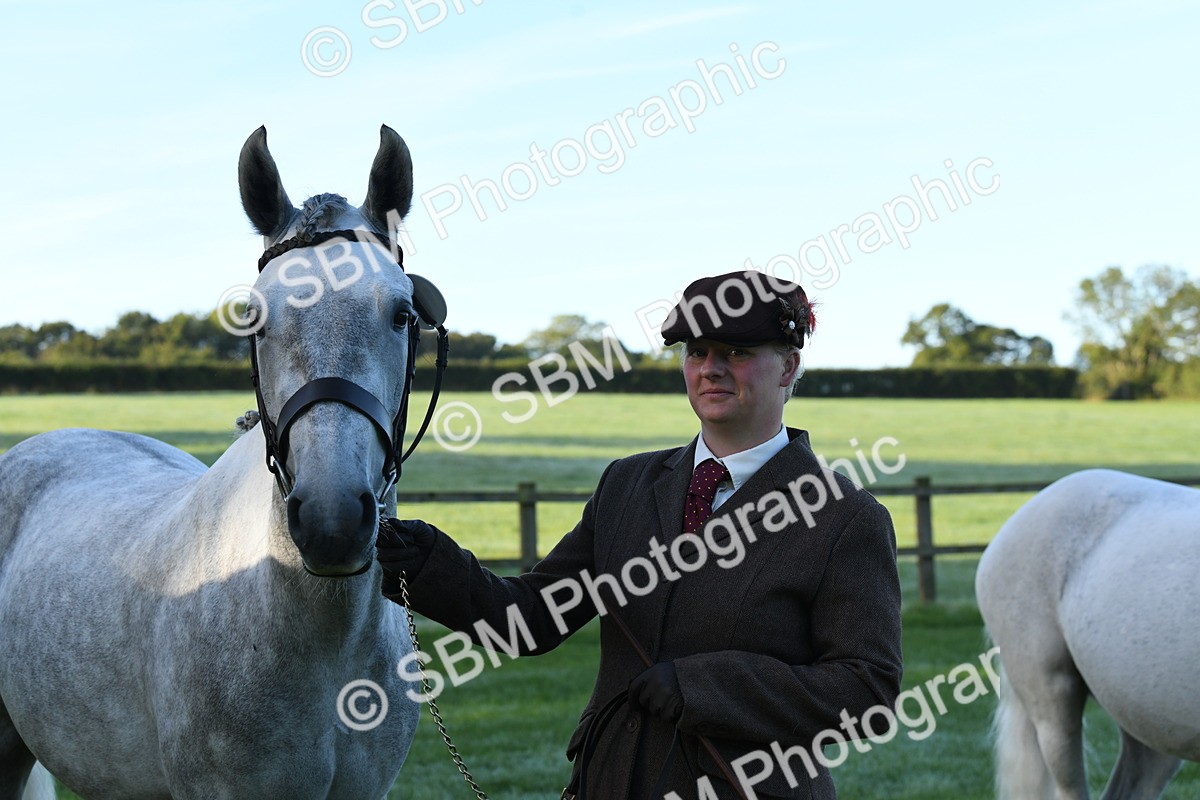 SBM_32729 - S15 - Condition & Turnout In Hand