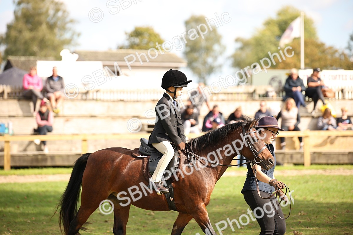 SBM_50029 - S26 - Young Veteran - Ridden