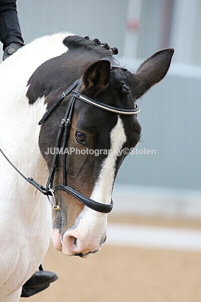 SIAL9623 - GDG Bogenraith Friday 26th Sept 2025