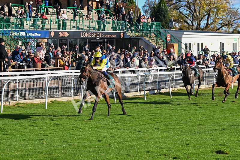 291024-Race 3-Kings Scholar-5920 - Race 3