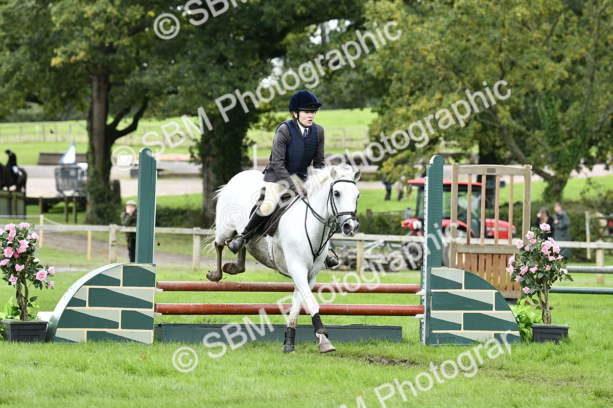 SBM_41317 - S32 - Mountain & Moorland Working Hunter Pony
