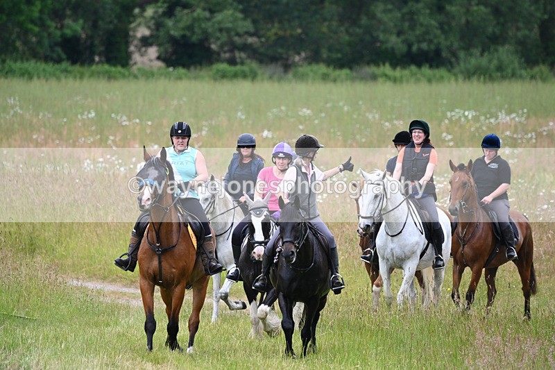 WJ6_8352 - Camera 1 Gallops