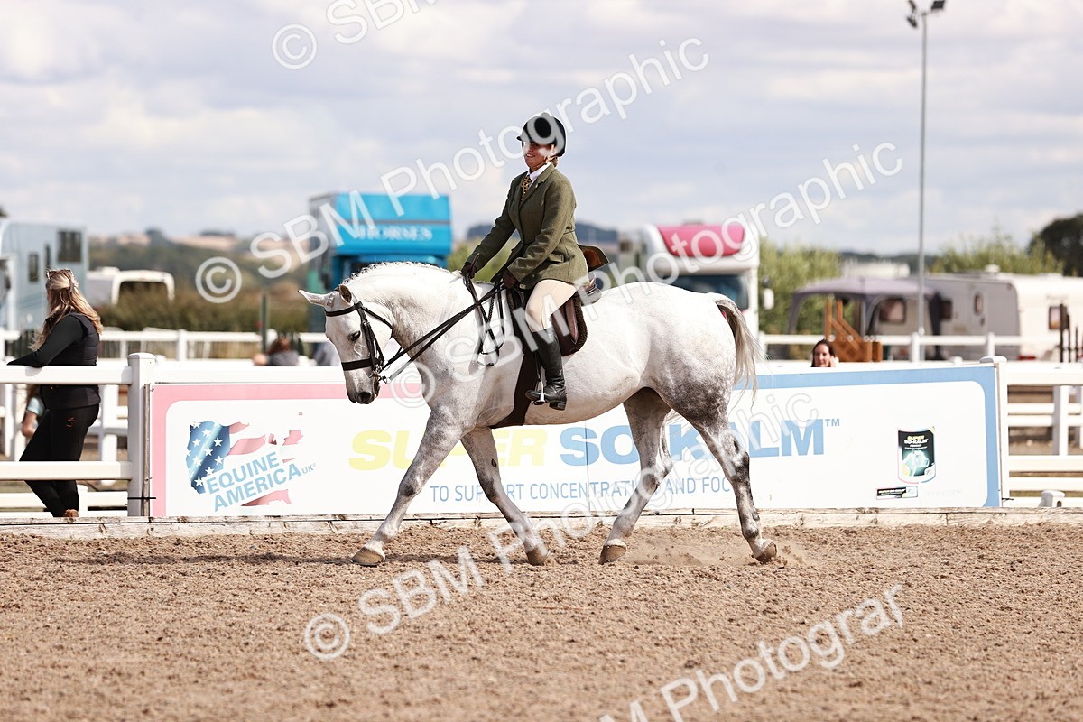SBM_14448 - Class 410 - Grassroots Ridden - Horse