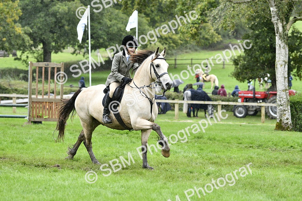 SBM_42309 - S32 - Mountain & Moorland Working Hunter Pony