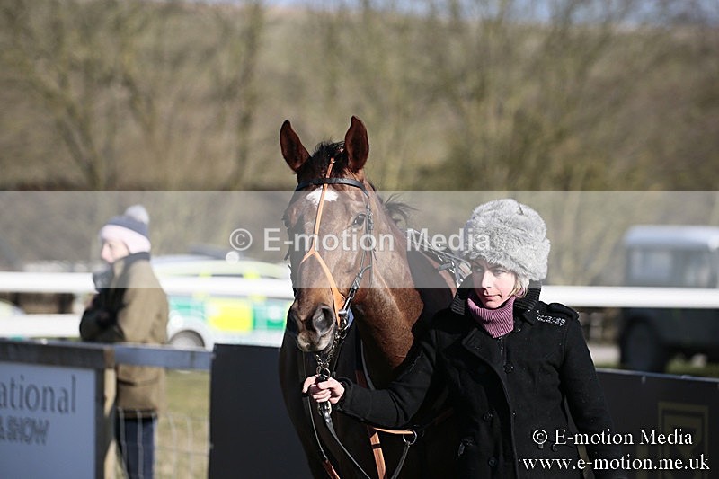 PtP 240218 562 - Vine & Craven Hunt Point-to-Point Barbury racecourse 24/02/18