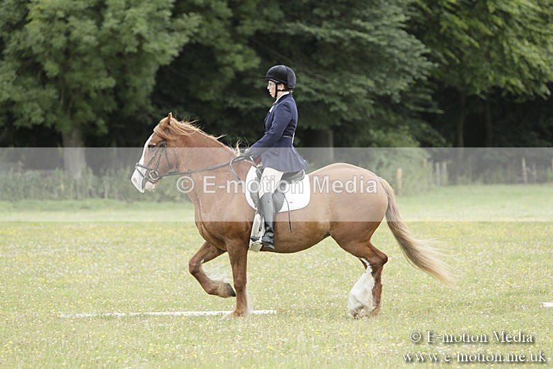 BVR160717-1231 - Class 2 Dressage 16/07/17