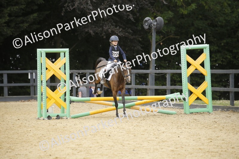 20250622-6003 - 60cm