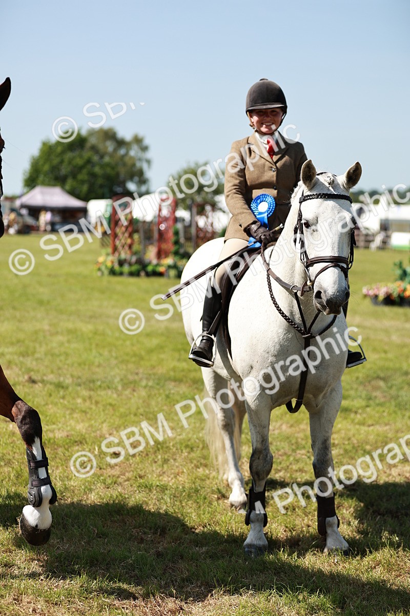 SBM_18464 - Class 112-113 - BSPS LIHS Working Sports Pony