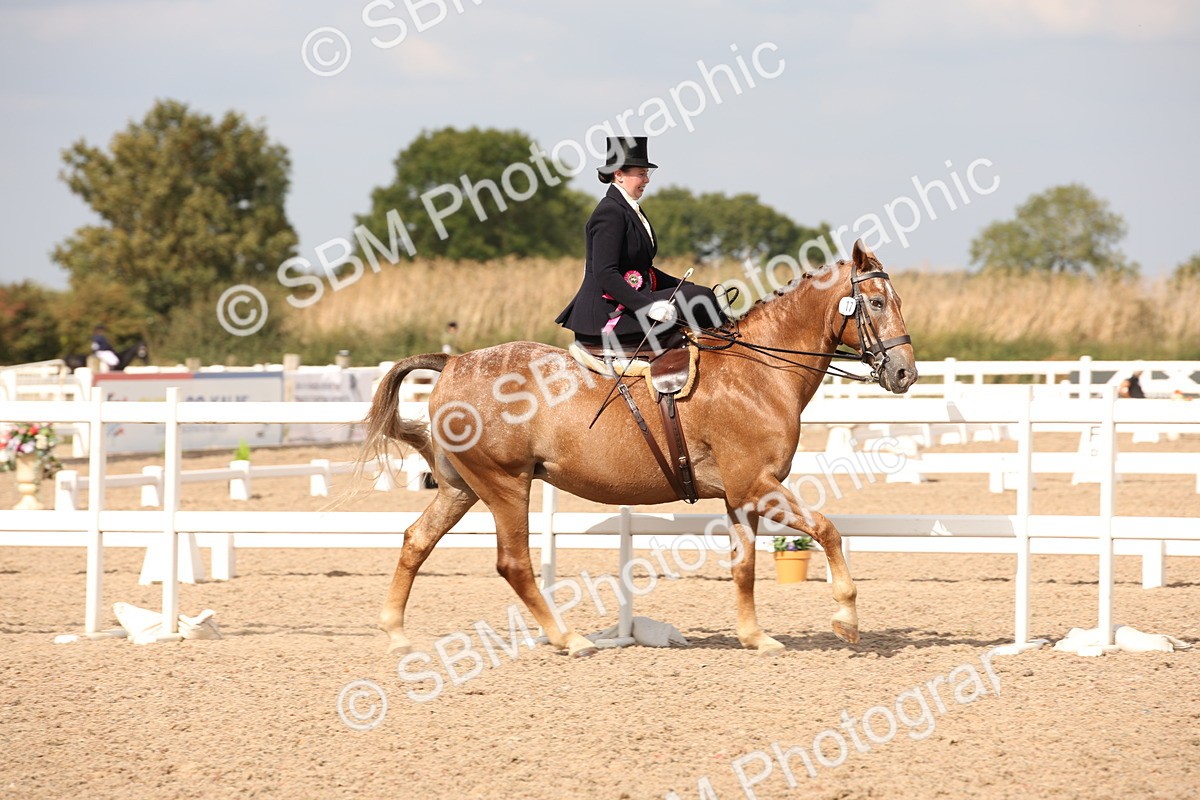 SBM_06694 - Class 23 SSA Classical