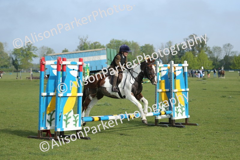 20260426-0060 - Class 13 - Rookie Jumping 50cm