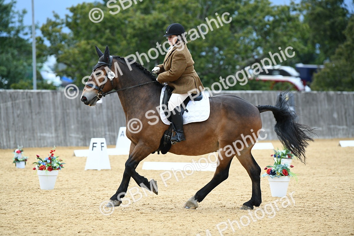 SBM_10028 - D15 Small Tour Championship Novice 24