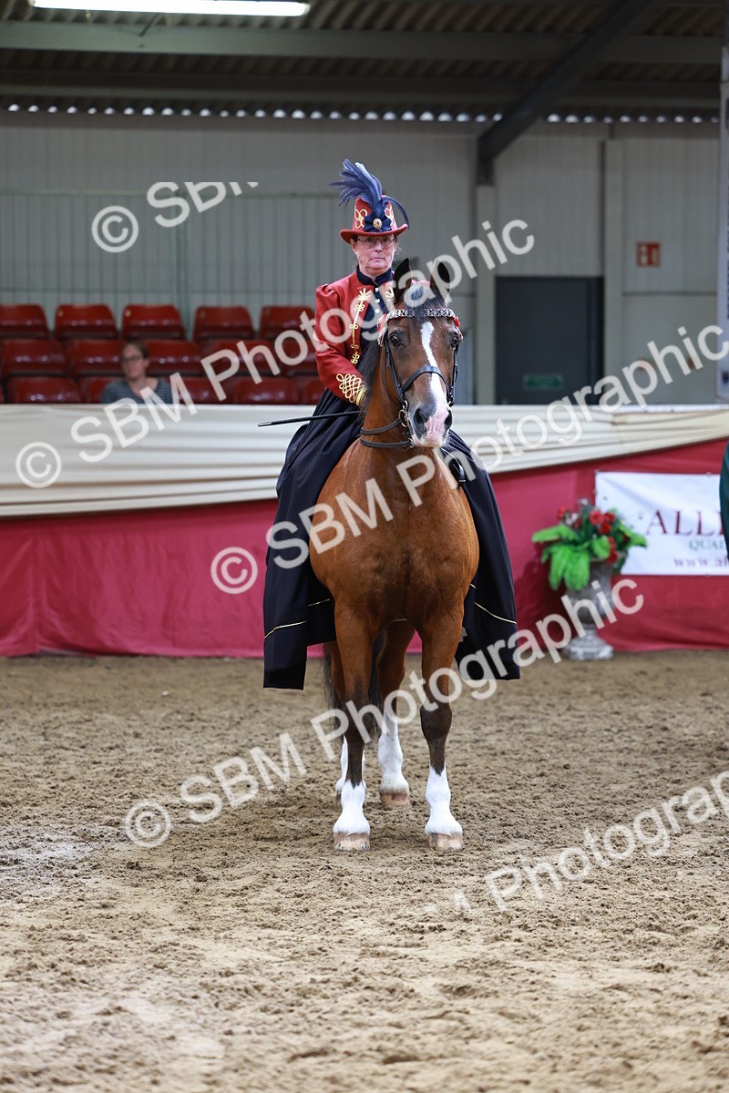 SBM_14837 - Class 107 - Ridden Costume - Astride Adult  (20+)