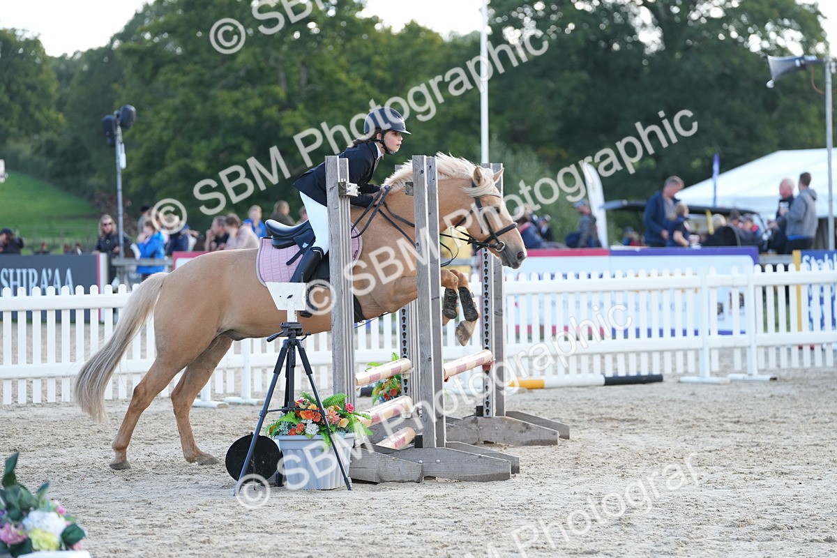 SBM_50943 - J8 - Junior Pony 65cm Championship