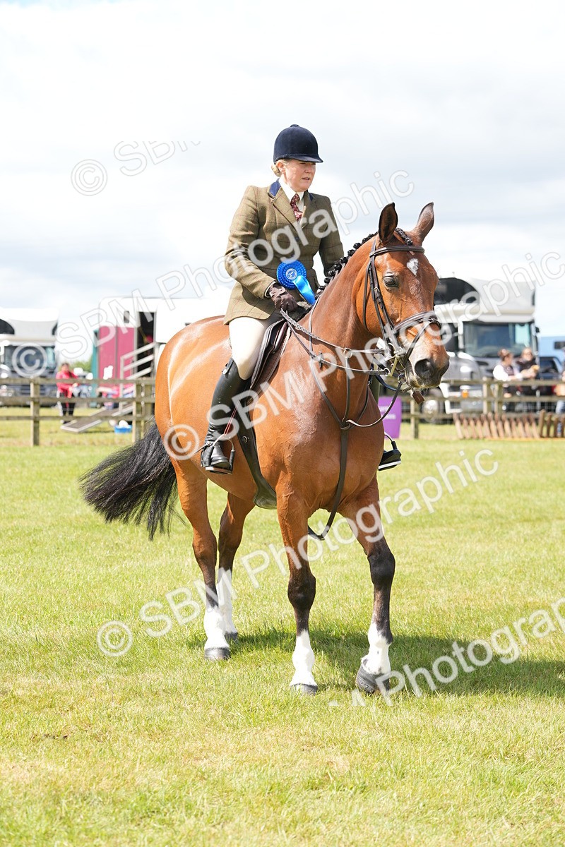 SBM_15055 - Class 100-102 - RIHS Working Hunter