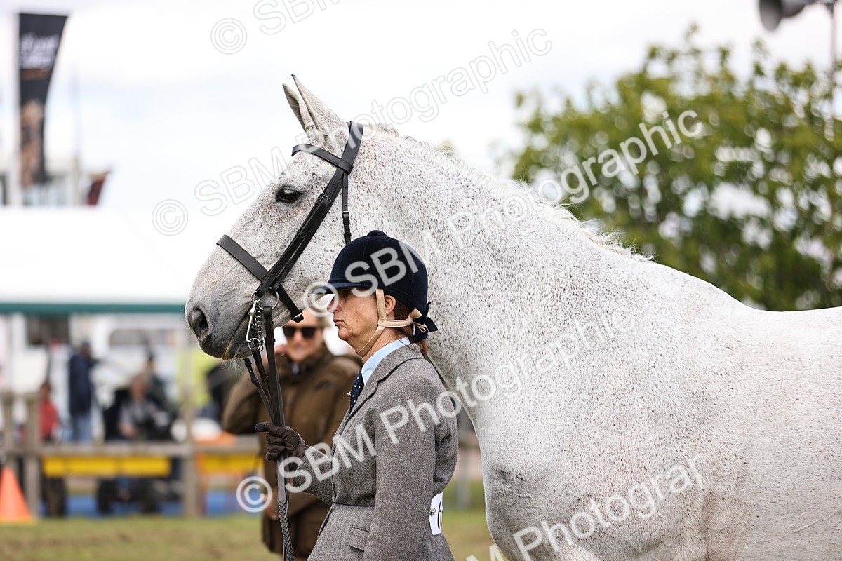 SBM_14730 - Class 88-89 - LIHS BSHA Rising Star of Ridden Hunter Type
