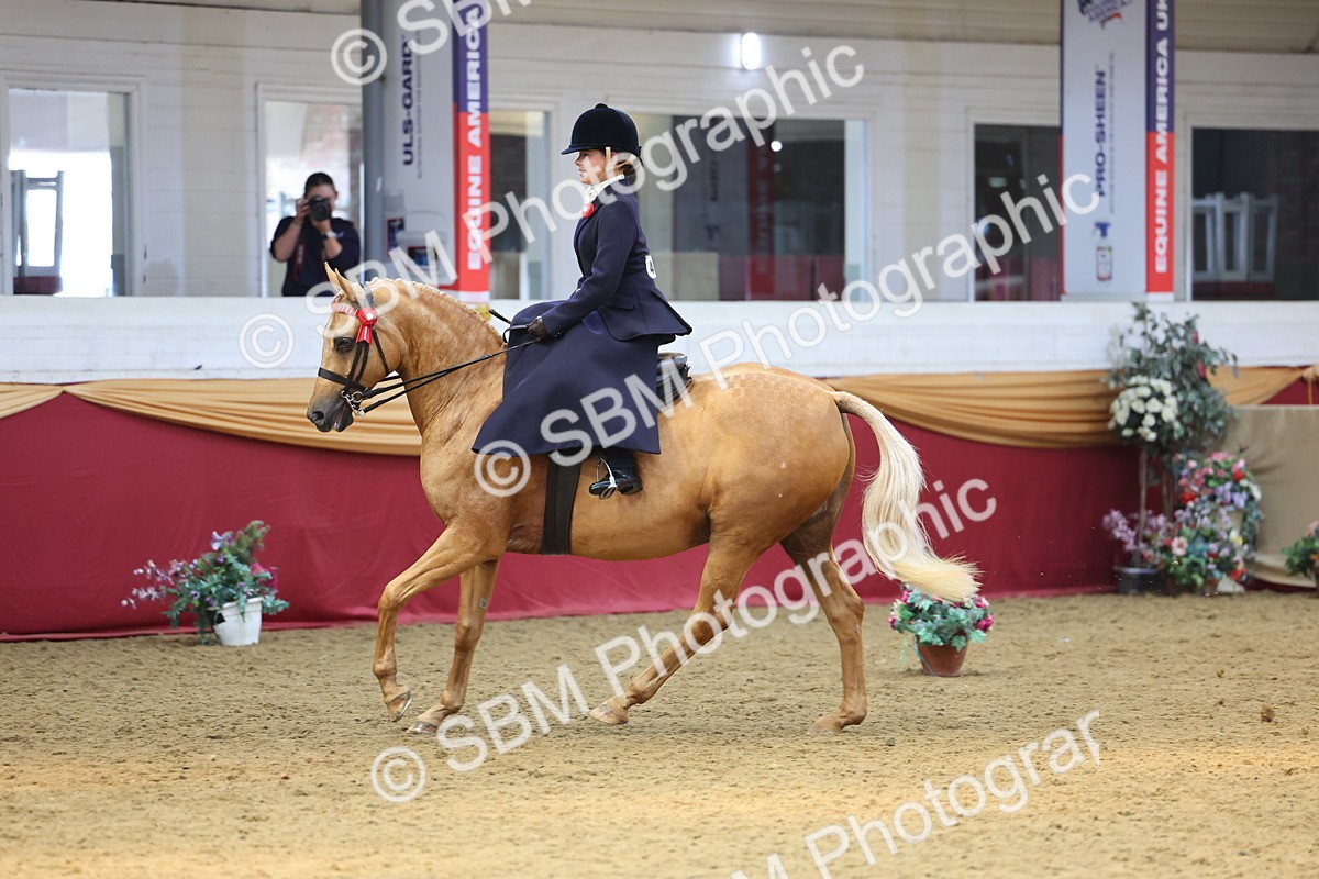 SBM_24465 - Class 906 - Supreme Final - Ridden Pre Vet
