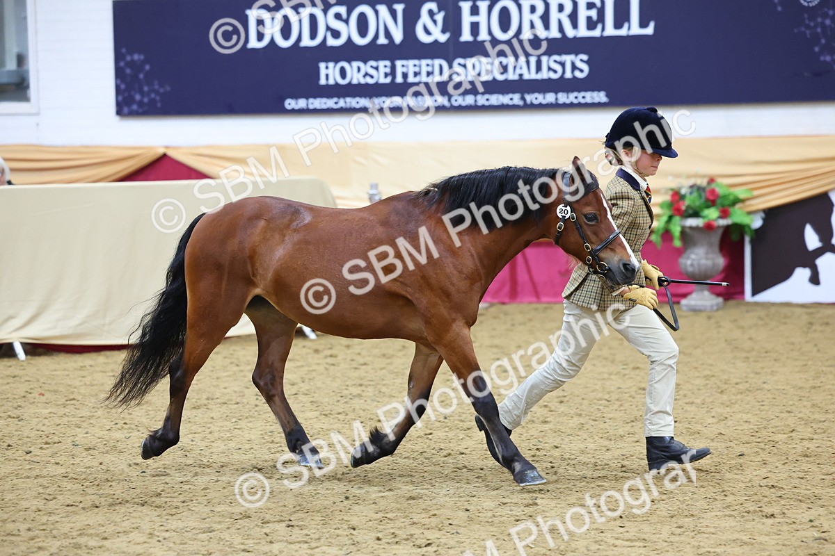 SBM_20904 - Class 902 - Supreme Final IH Veteran