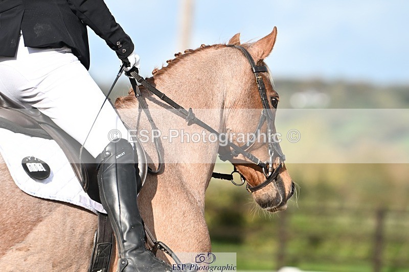 231105-130723-01802 - Cls 2 Prelim 7 12.41 to End