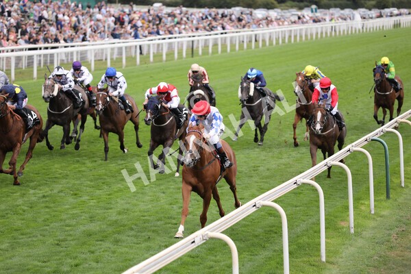 yr17082022r6-16 - Race 6 4.45 pm Celebrate ITM’s 200th IRE Voucher Winner Stakes