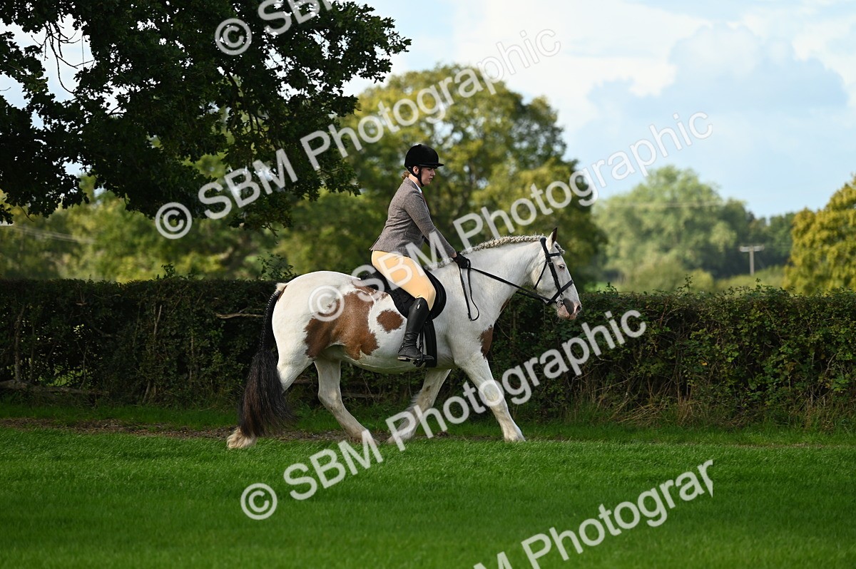 SBM_01833 - S2 - TSR Ridden Horse Showing