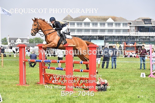BPP_7046 - CLASS 3 RHS Fox Champ Qual (1.20m)