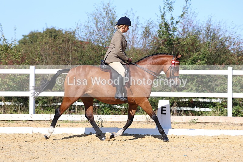 3E7A5671 - Class 10: Riding Horse