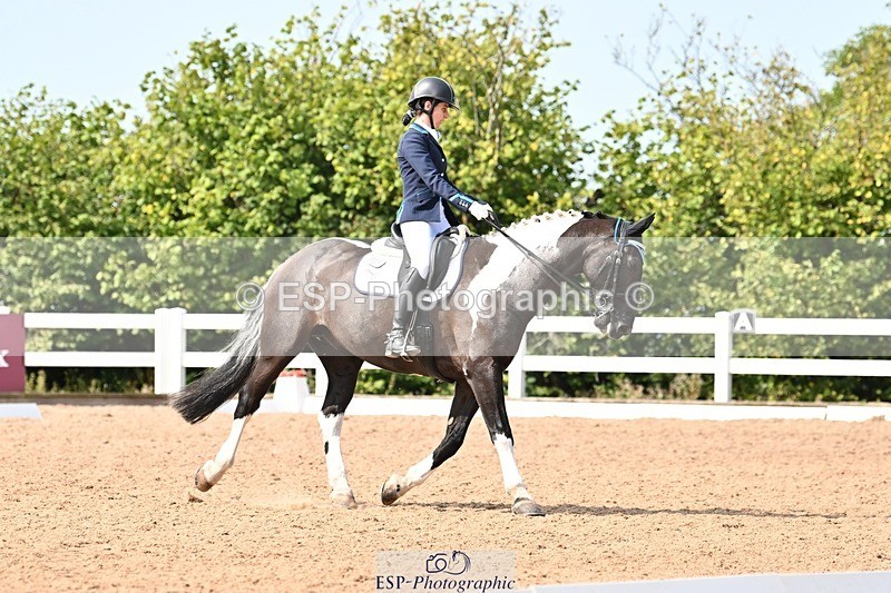 250815-112414-00596 - 037-Alys.MatraversTiger.Mazariti