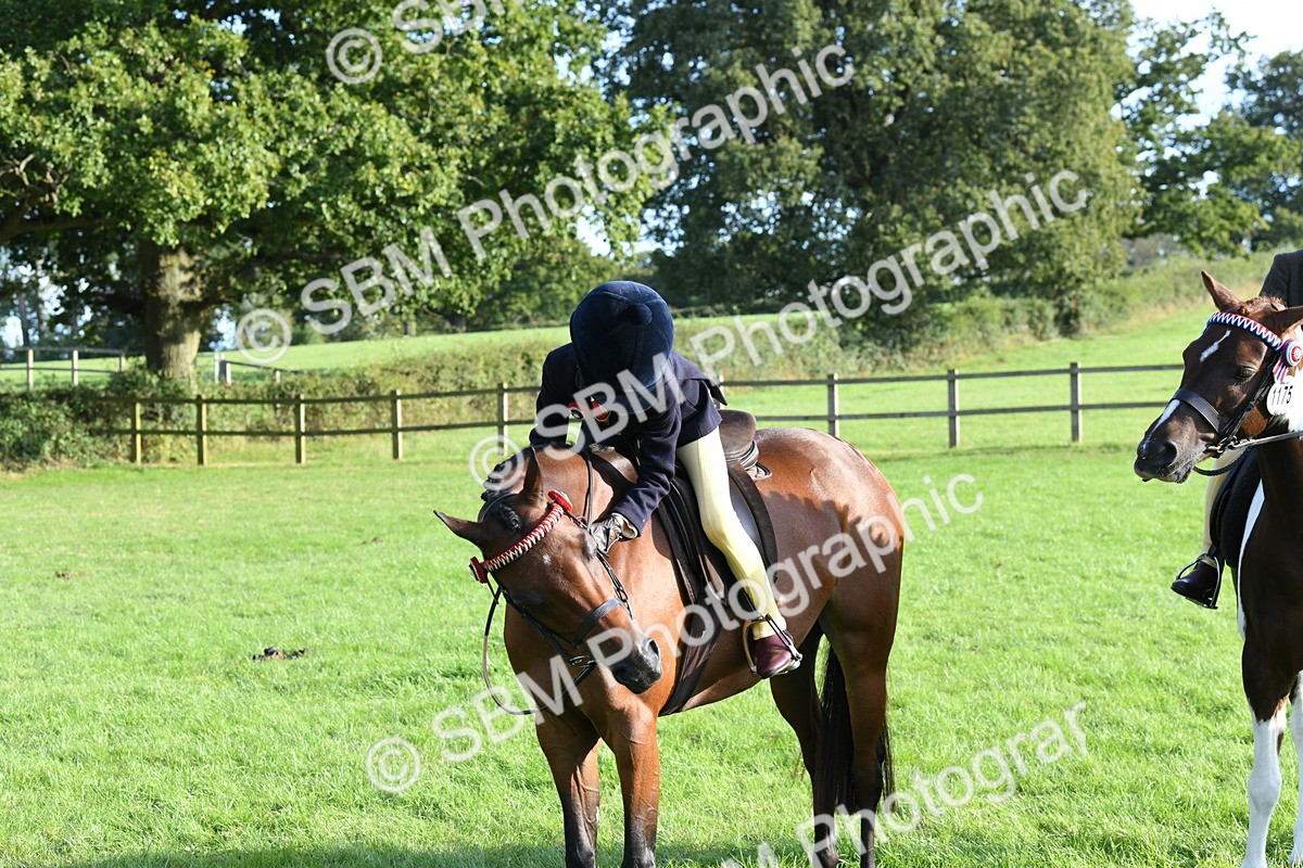 SBM_52430 - S22 - 1st Ridden Show & Show Hunter Pony