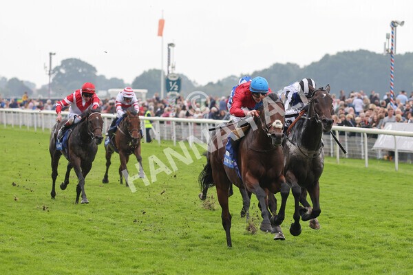 yr09102021r3-16 - Race 3 2.37pm Play Coral Racing-Super-Series For Free Handicap