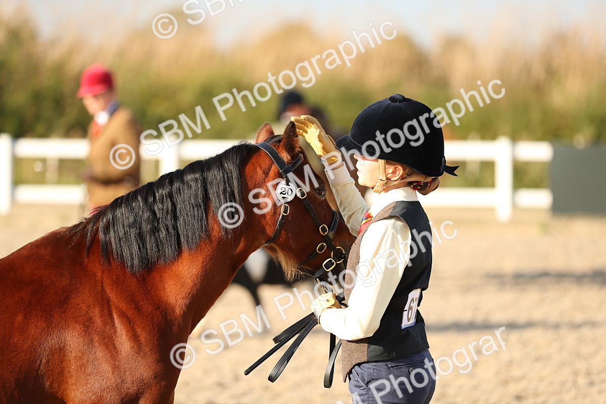 SBM_08986 - Class 29 IH Veteran Pony